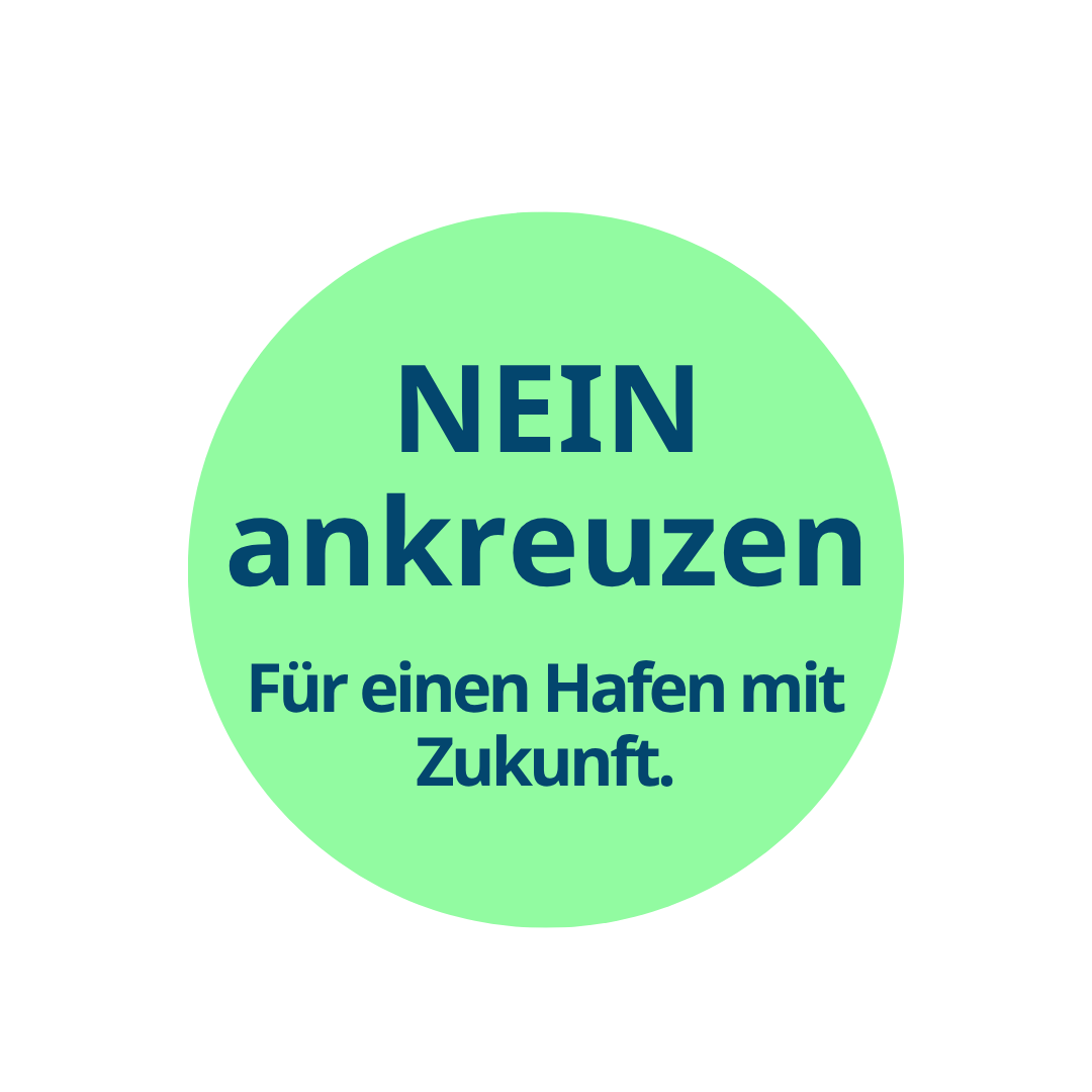 Nein_ankreuzen_buergerentscheid_meldorf (1)