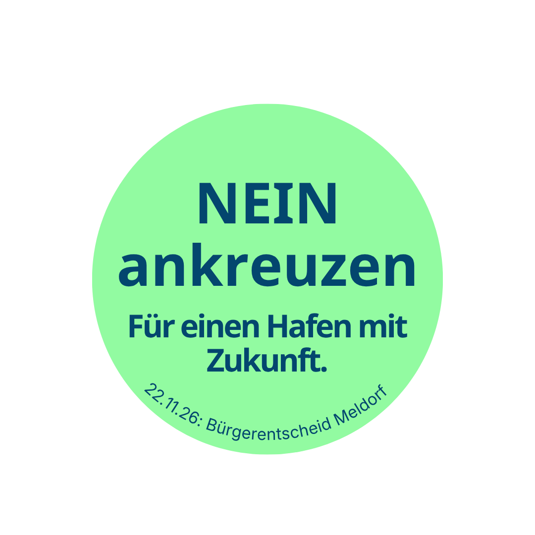 Nein_ankreuzen_buergerentscheid_meldorf (2)